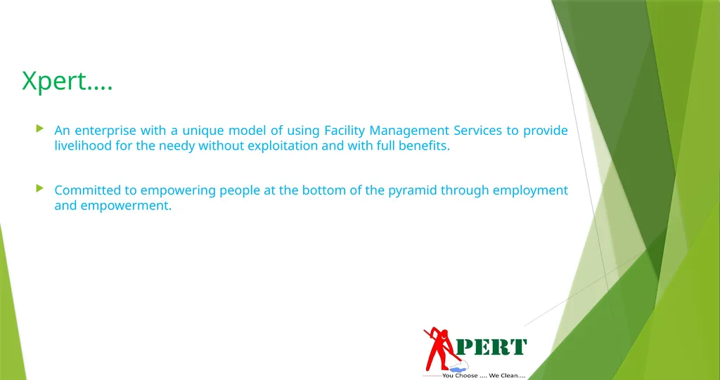 XPERT INTEGRATED SERVICES PRIVATE LIMITED _____You - slide 2 of 17