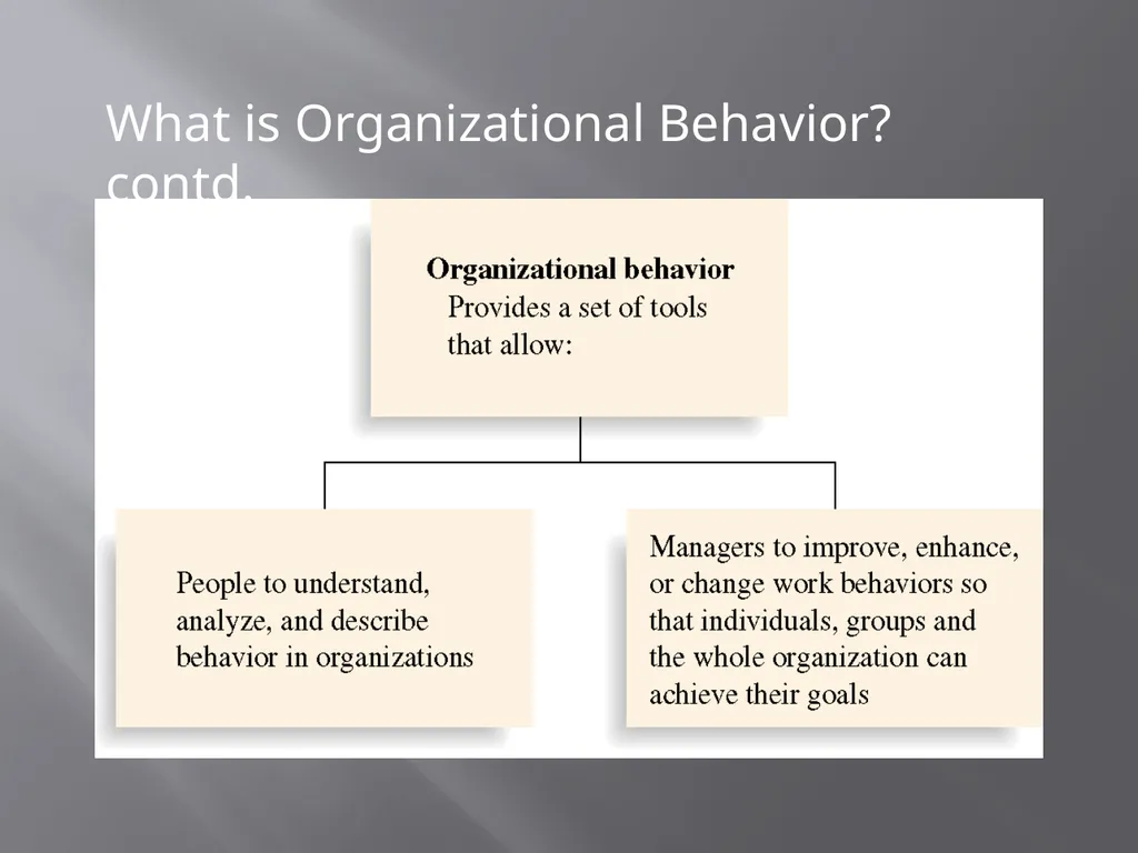 Organizational Behaviour Nirbhay Mishra Faculty - slide 6 of 8