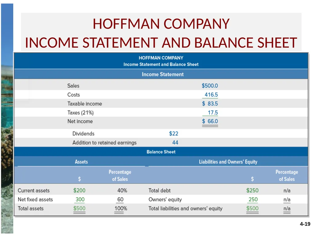 Chapter 4 Long-term financial planning and growth - slide 19 of 27