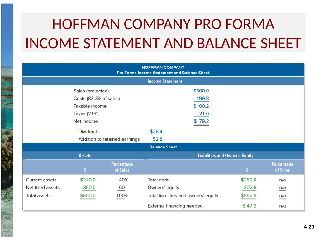 Chapter 4 Long-term financial planning and growth - slide 20 of 27
