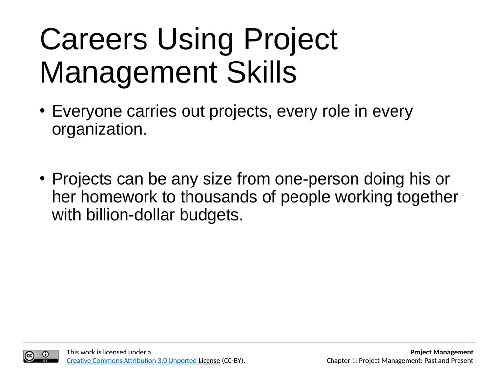 Project Management: Past and Present Project - slide 3 of 11