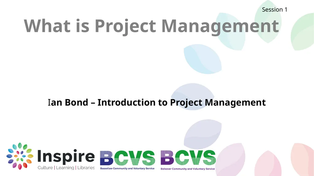 Project Management What is Project Management Ian - slide 2 of 38