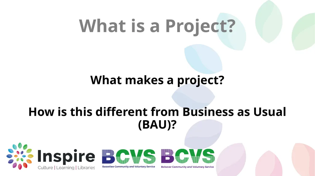 Project Management What is Project Management Ian - slide 5 of 38