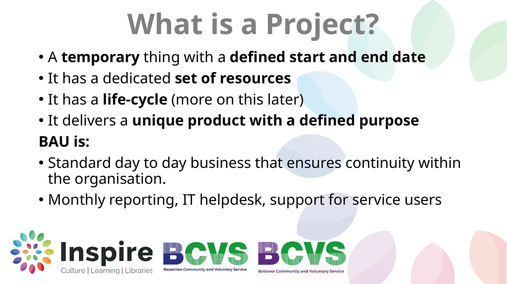 Project Management What is Project Management Ian - slide 6 of 38