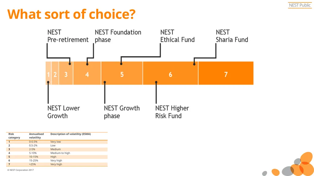 NEST Pension UK experience of investment fund - slide 12 of 15