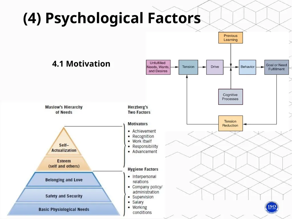 Consumer ??? Buyer behavior in Consumer market - slide 9 of 16