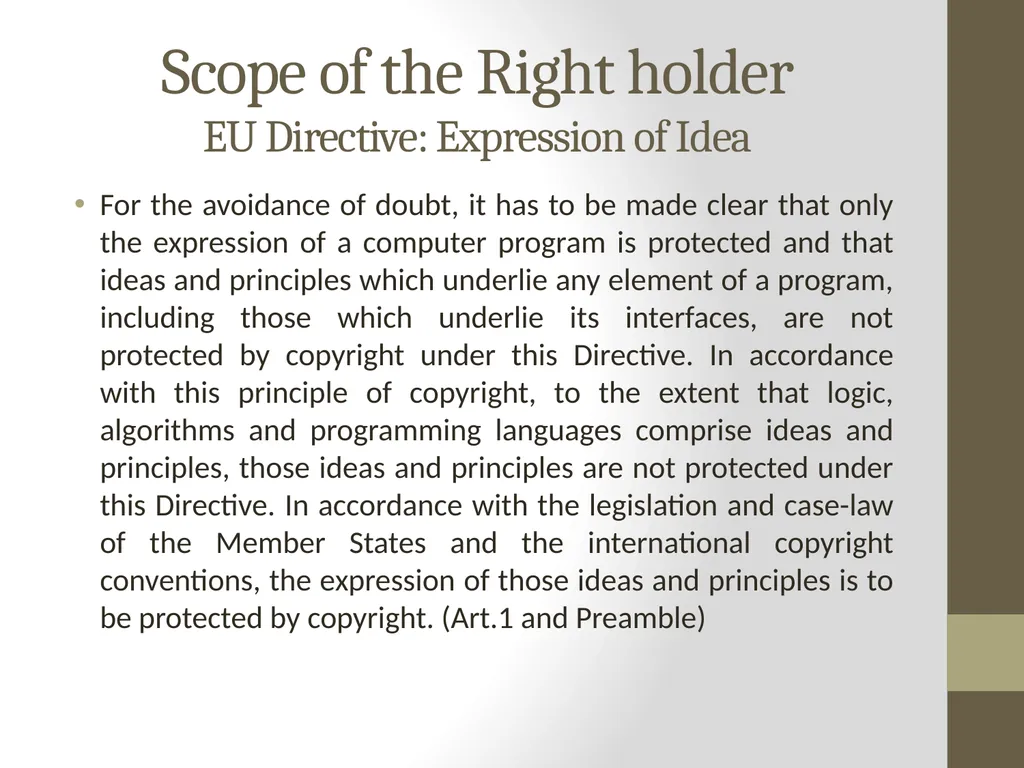 Software Protection & Scope of the Right holder - slide 5 of 14