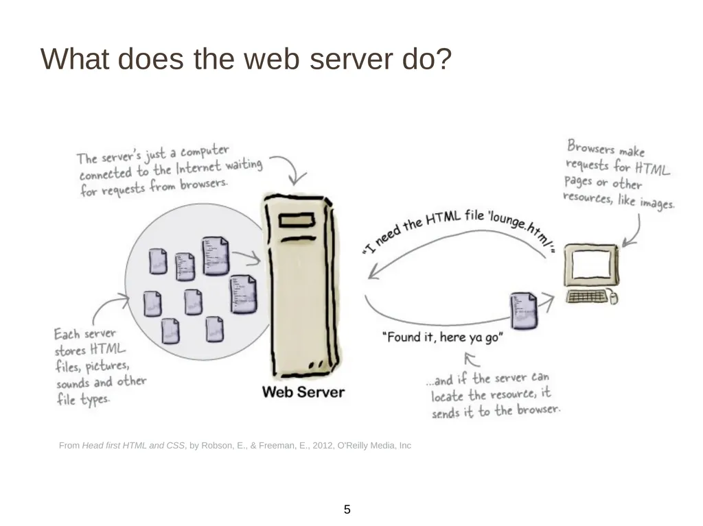 Introduction to Web Programming Lecture 2: - slide 5 of 27