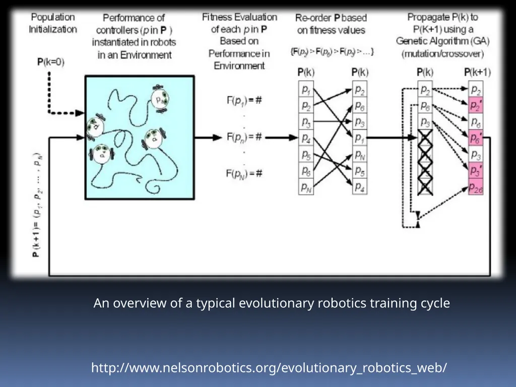 Evolutionary Robotics Guided by : Prof . Pushpak - slide 13 of 34