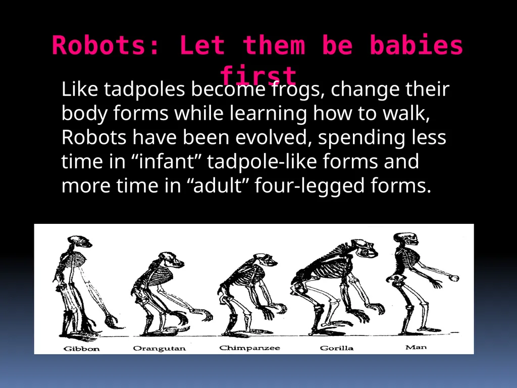 Evolutionary Robotics Guided by : Prof . Pushpak - slide 31 of 34