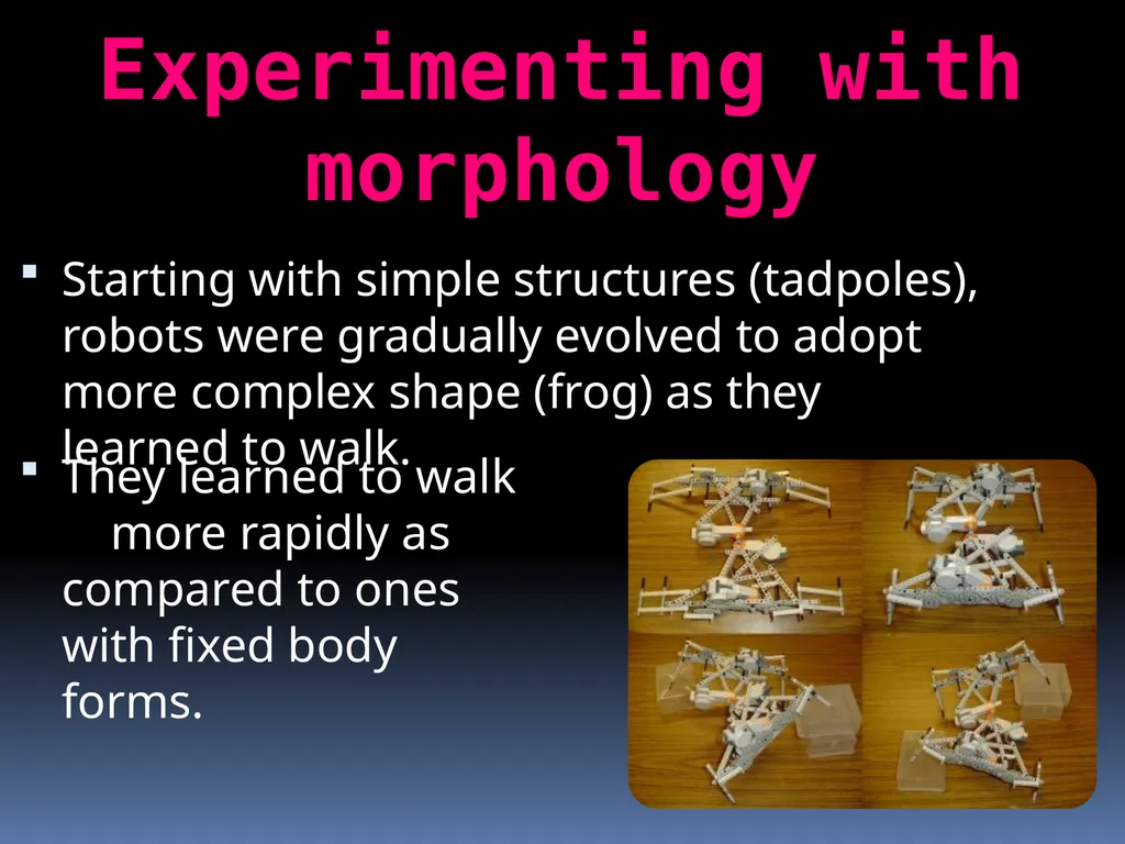 Evolutionary Robotics Guided by : Prof . Pushpak - slide 21 of 34