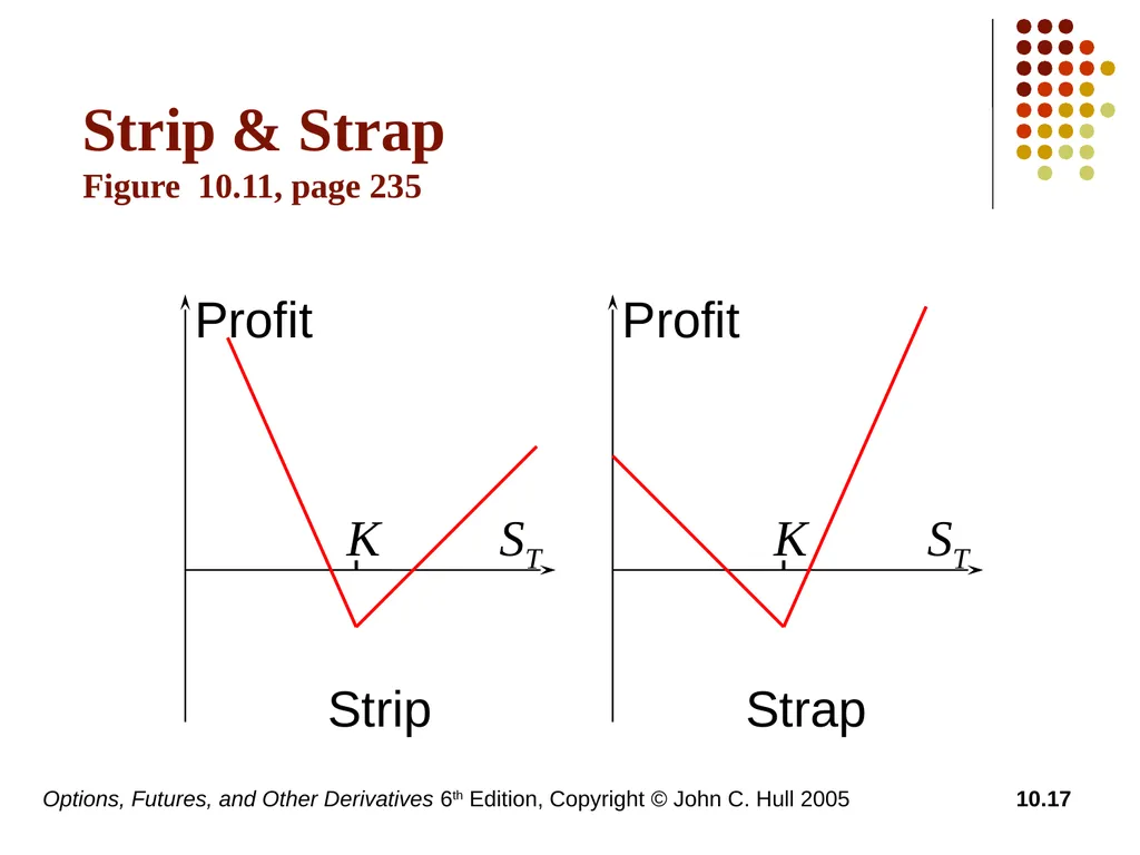 Options, Futures, and Other Derivatives 6th - slide 17 of 19