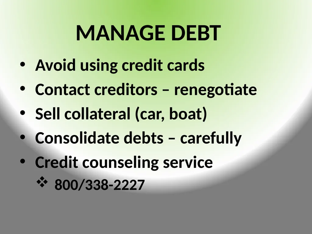 FINANCIAL CONSIDERATION$ DURING TRAN$ITION - slide 13 of 23