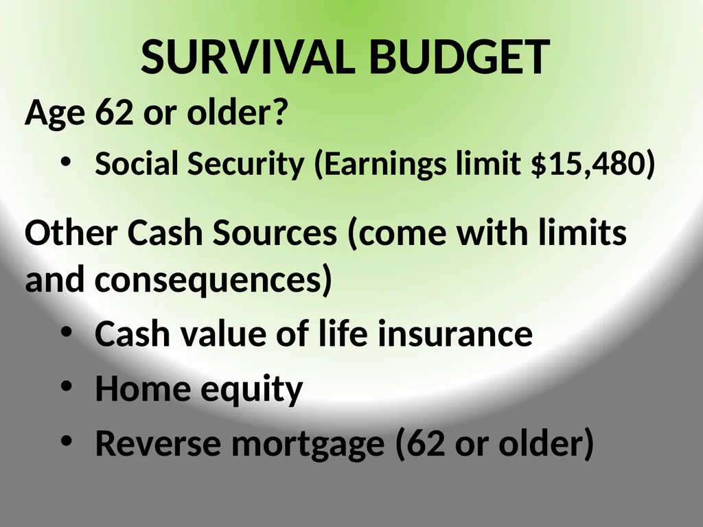 FINANCIAL CONSIDERATION$ DURING TRAN$ITION - slide 6 of 23
