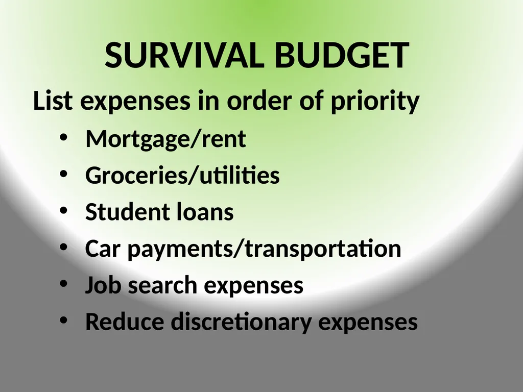 FINANCIAL CONSIDERATION$ DURING TRAN$ITION - slide 8 of 23