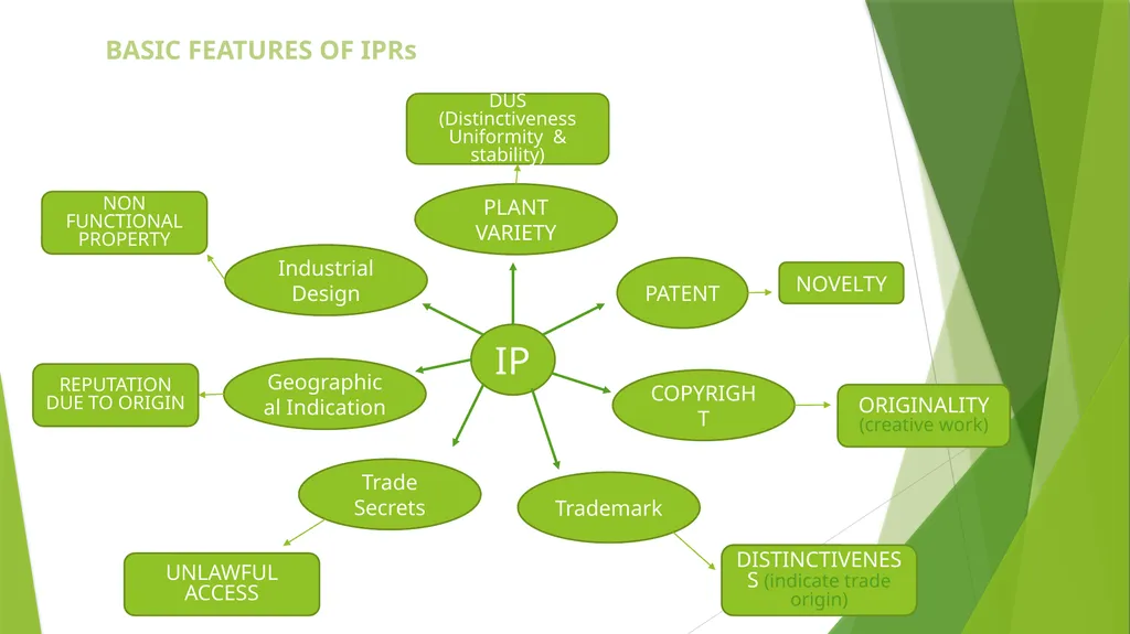Intellectual Property Rights (VPB-321) Animal - slide 2 of 32