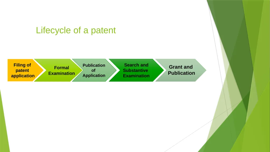 Intellectual Property Rights (VPB-321) Animal - slide 12 of 32