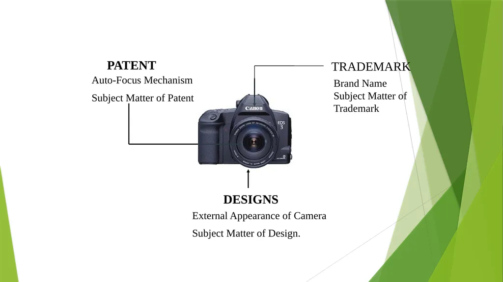 Intellectual Property Rights (VPB-321) Animal - slide 27 of 32