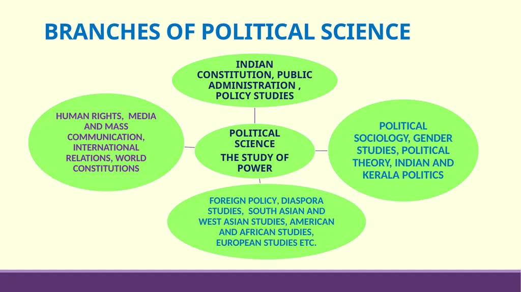 DEPARTMENT OF POLITICAL SCIENCE MINOR COURSES - slide 5 of 16