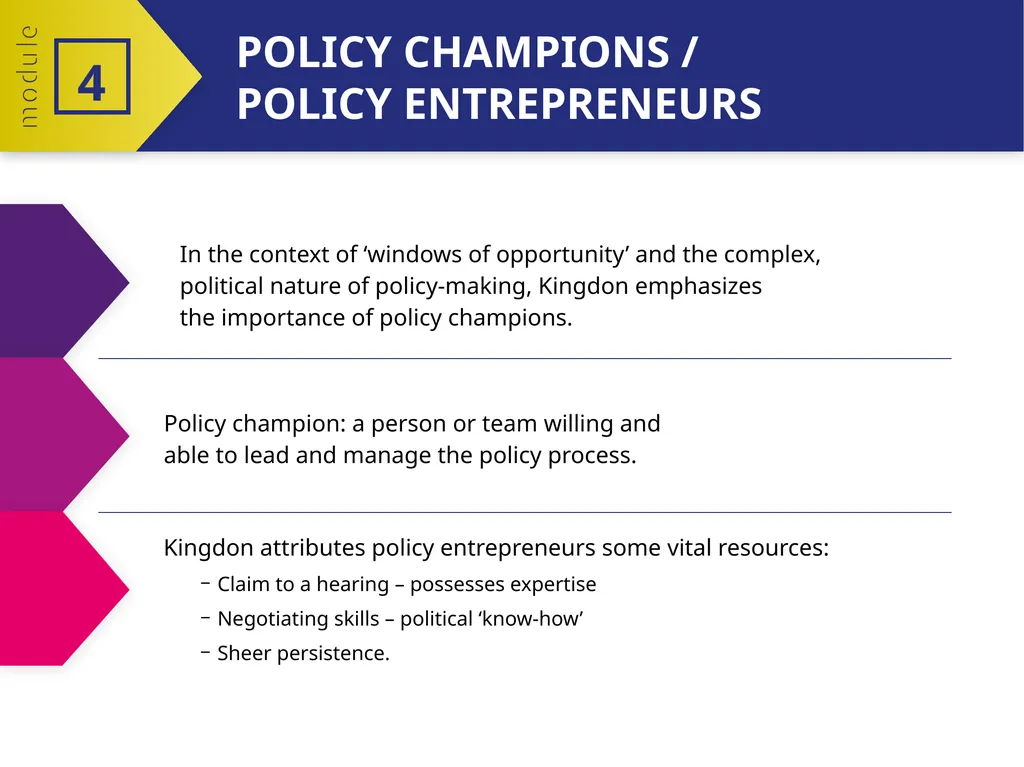 MODULE 4 PART 2 The policy-making process 4 - slide 11 of 12