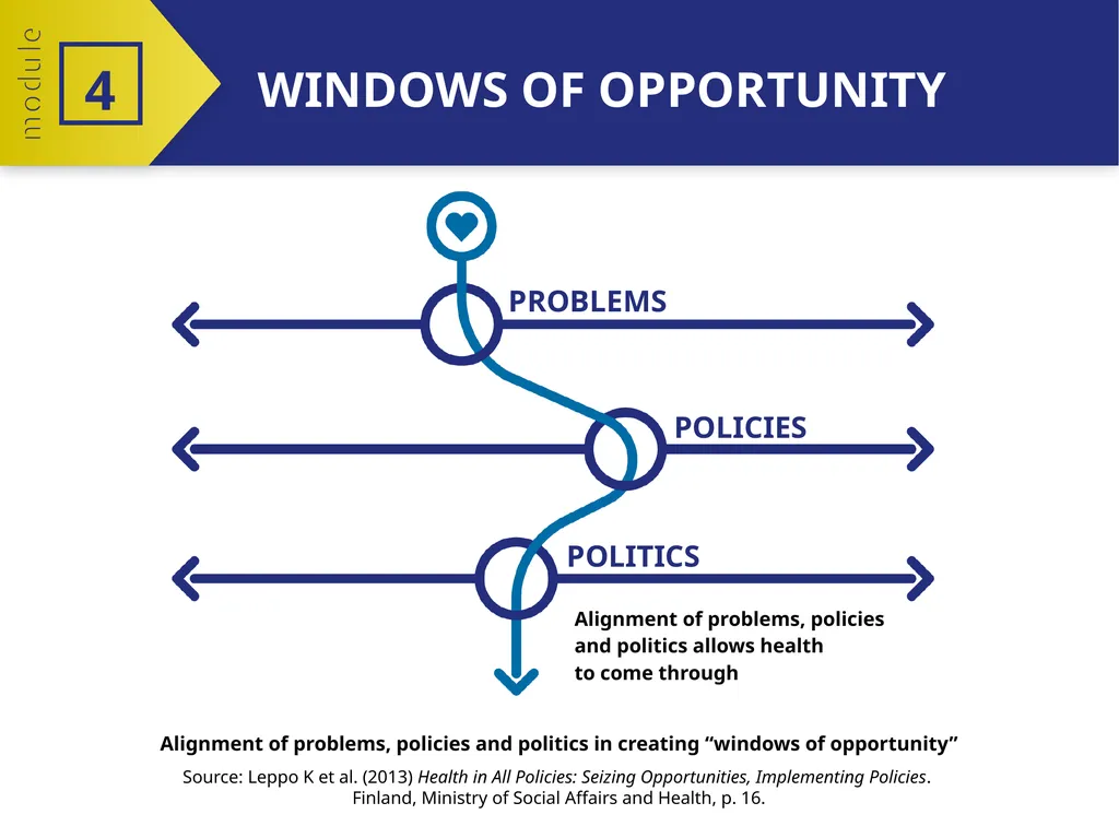 MODULE 4 PART 2 The policy-making process 4 - slide 5 of 12