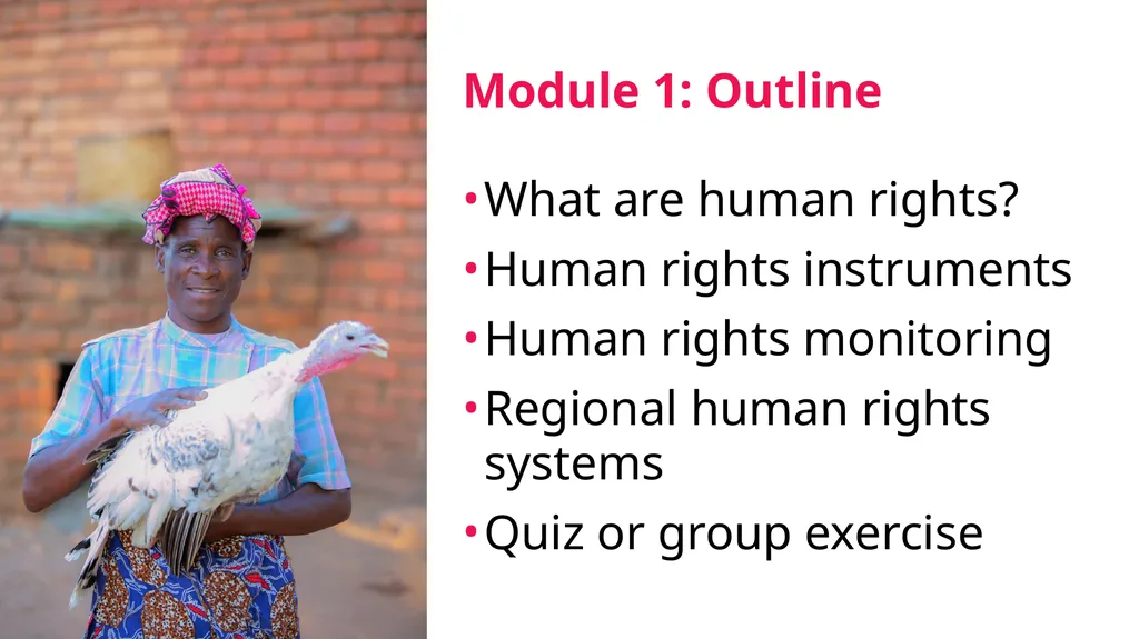 Module 1. Introduction to human rights About The - slide 3 of 21