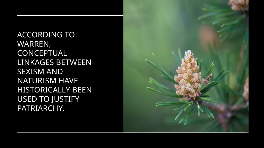 Chapter 6 Deep Ecology and Ecofeminism Two radical - slide 55 of 65