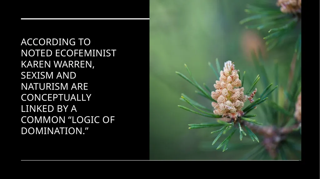 Chapter 6 Deep Ecology and Ecofeminism Two radical - slide 47 of 65