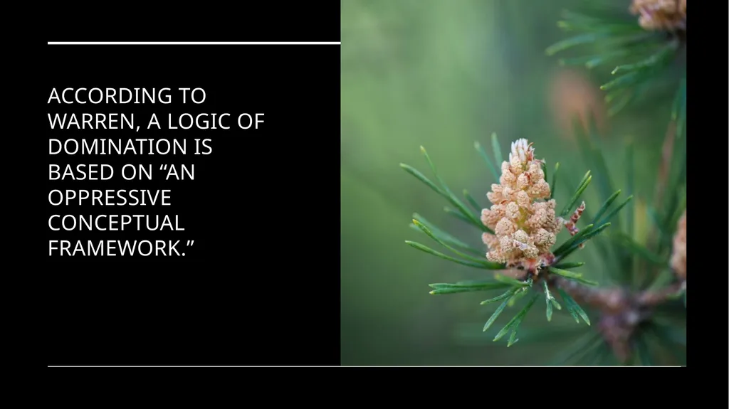 Chapter 6 Deep Ecology and Ecofeminism Two radical - slide 48 of 65