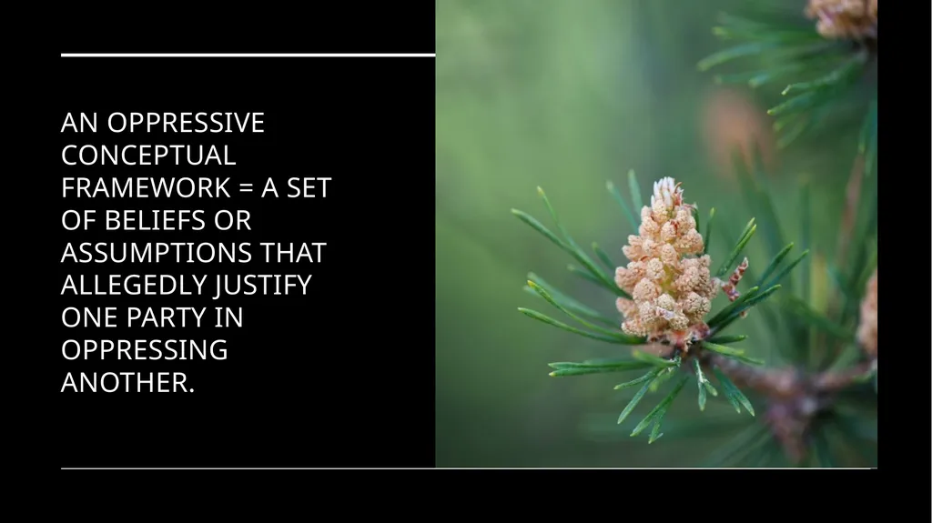 Chapter 6 Deep Ecology and Ecofeminism Two radical - slide 49 of 65