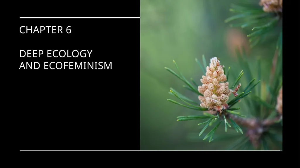 Chapter 6 Deep Ecology and Ecofeminism Two radical - slide 1 of 65