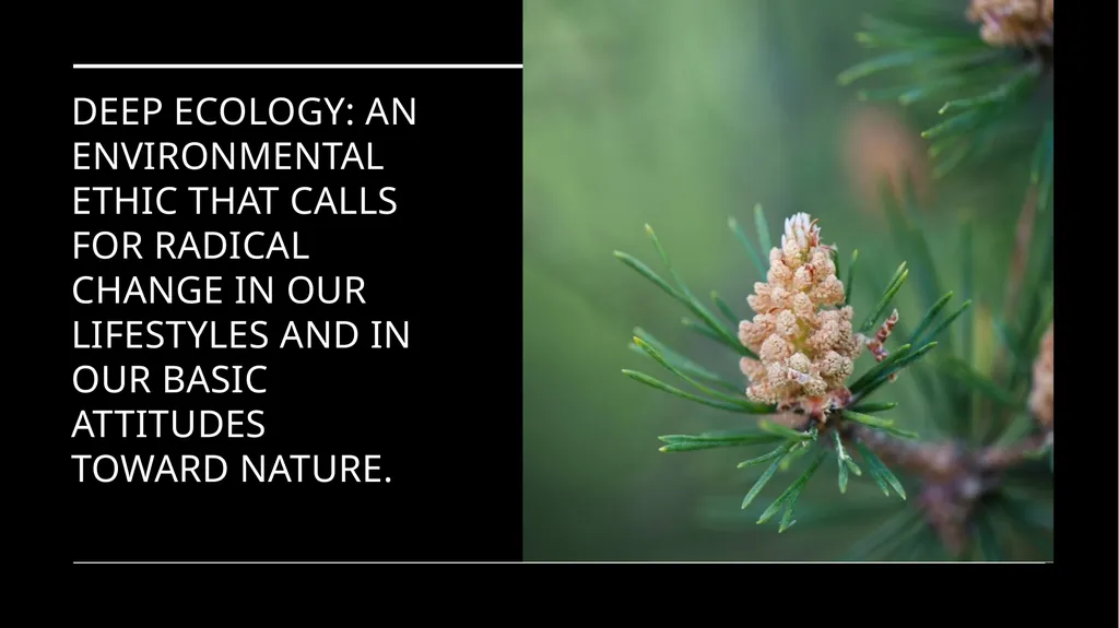 Chapter 6 Deep Ecology and Ecofeminism Two radical - slide 3 of 65