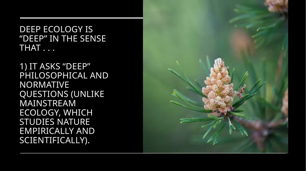 Chapter 6 Deep Ecology and Ecofeminism Two radical - slide 13 of 65