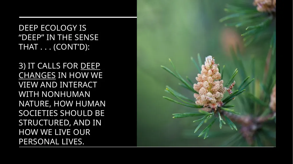 Chapter 6 Deep Ecology and Ecofeminism Two radical - slide 15 of 65