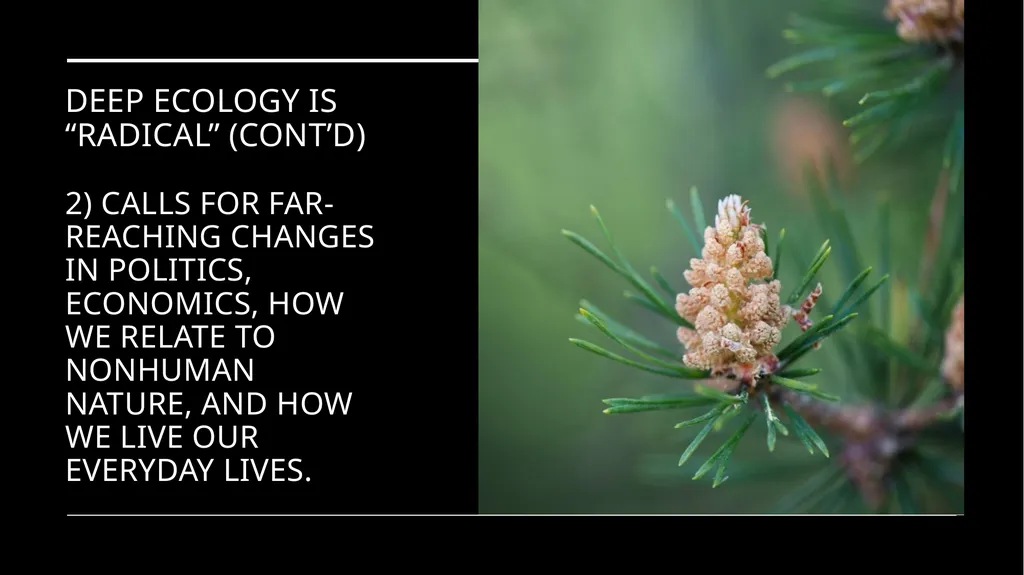 Chapter 6 Deep Ecology and Ecofeminism Two radical - slide 5 of 65