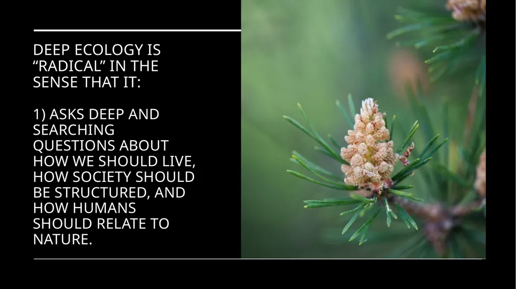 Chapter 6 Deep Ecology and Ecofeminism Two radical - slide 4 of 65