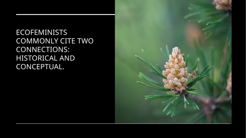 Chapter 6 Deep Ecology and Ecofeminism Two radical - slide 42 of 65