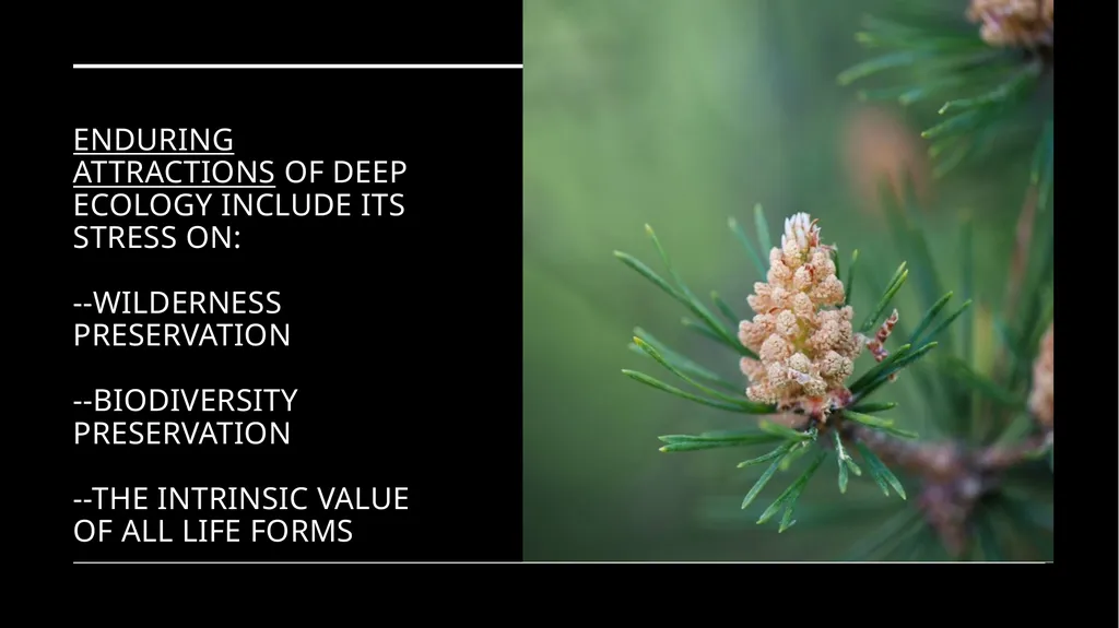 Chapter 6 Deep Ecology and Ecofeminism Two radical - slide 33 of 65