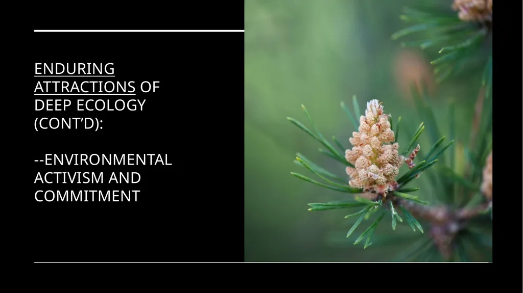 Chapter 6 Deep Ecology and Ecofeminism Two radical - slide 34 of 65
