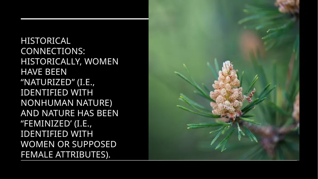 Chapter 6 Deep Ecology and Ecofeminism Two radical - slide 43 of 65