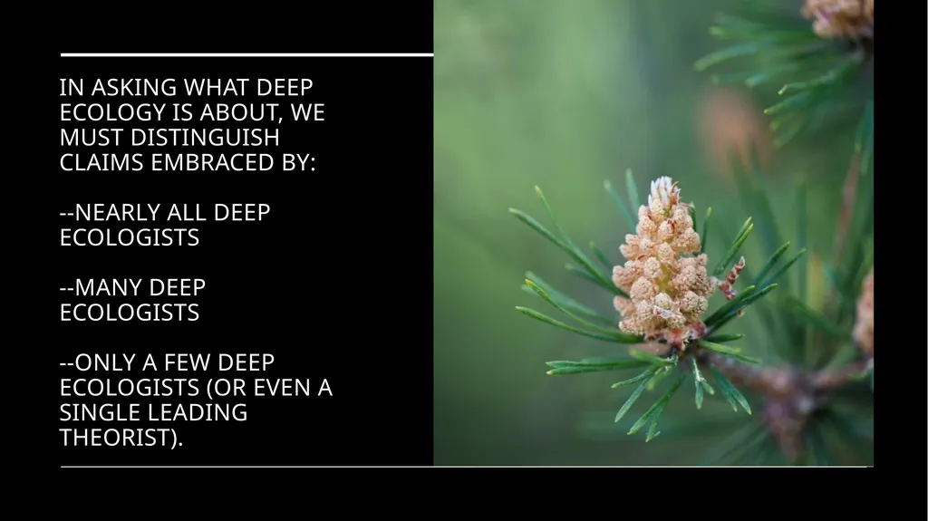 Chapter 6 Deep Ecology and Ecofeminism Two radical - slide 17 of 65
