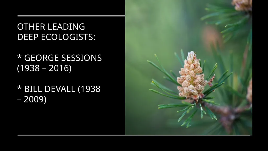 Chapter 6 Deep Ecology and Ecofeminism Two radical - slide 8 of 65