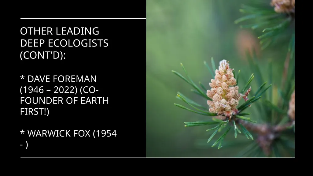 Chapter 6 Deep Ecology and Ecofeminism Two radical - slide 9 of 65