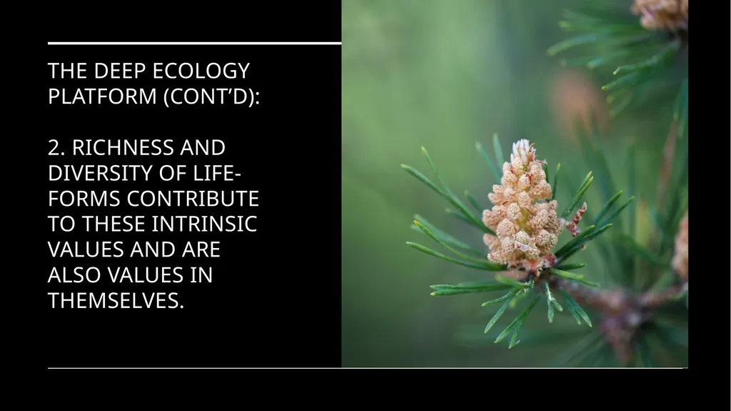 Chapter 6 Deep Ecology and Ecofeminism Two radical - slide 22 of 65