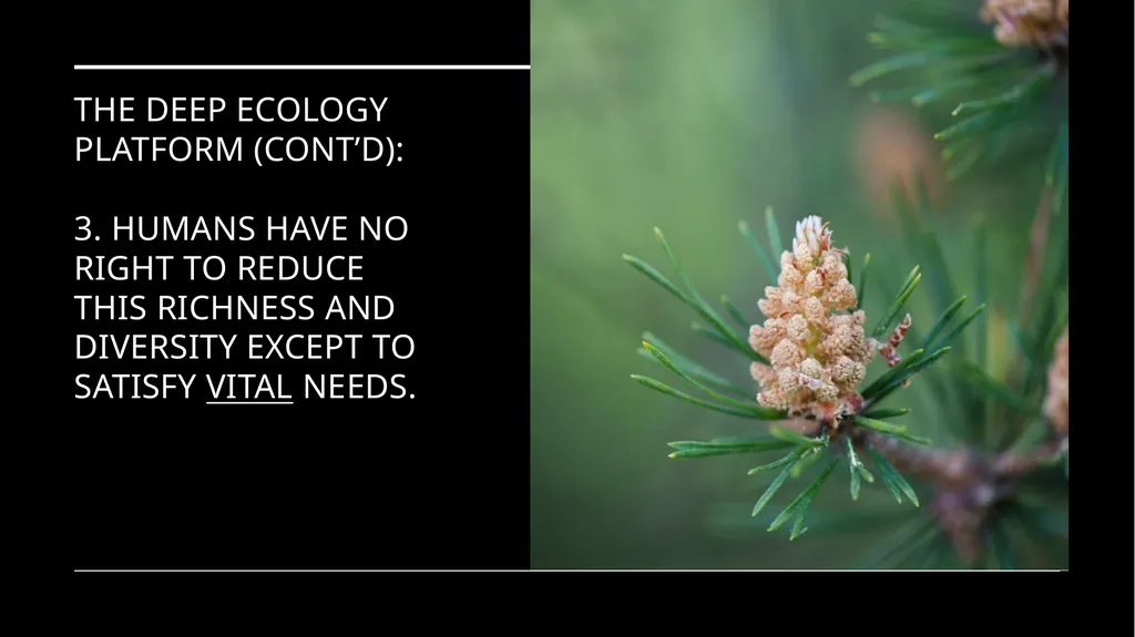 Chapter 6 Deep Ecology and Ecofeminism Two radical - slide 23 of 65