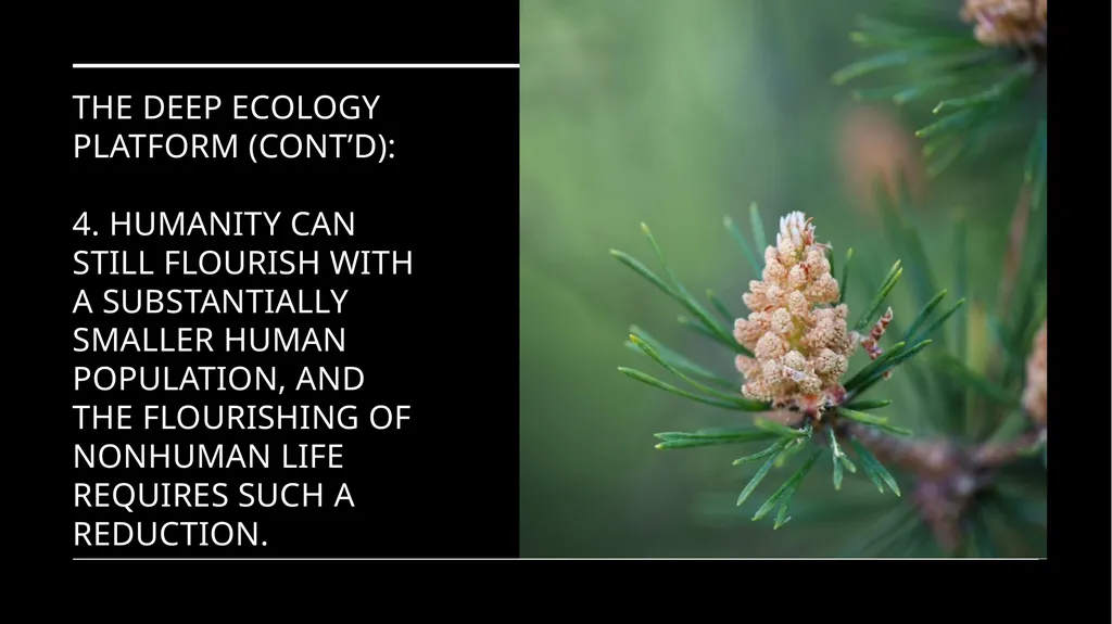 Chapter 6 Deep Ecology and Ecofeminism Two radical - slide 24 of 65