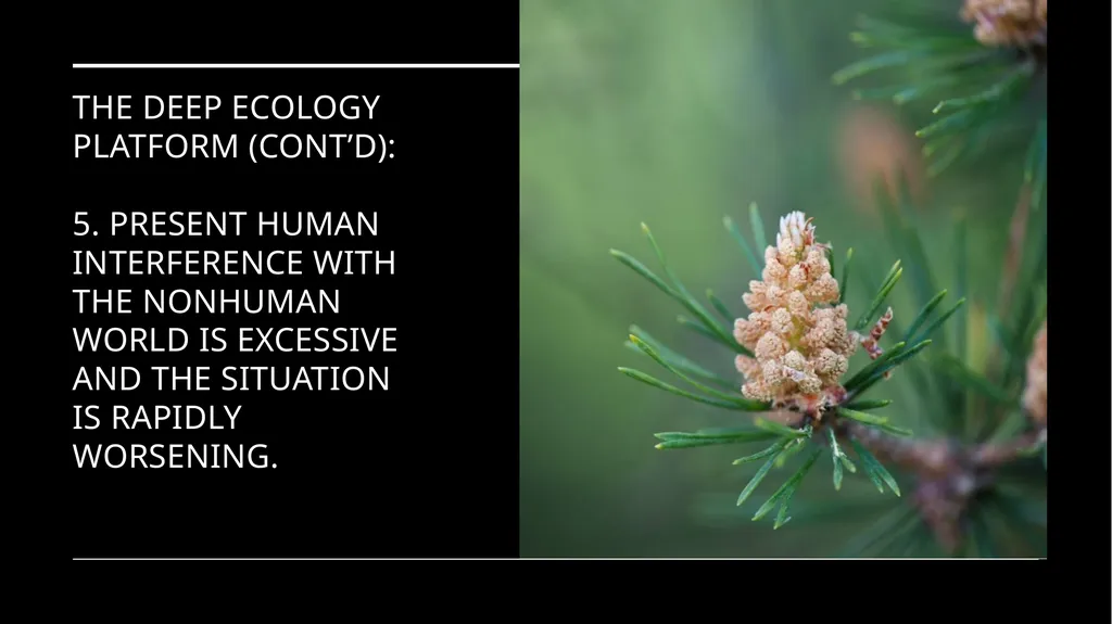 Chapter 6 Deep Ecology and Ecofeminism Two radical - slide 25 of 65