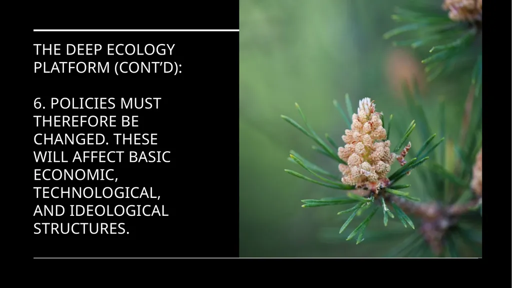 Chapter 6 Deep Ecology and Ecofeminism Two radical - slide 26 of 65