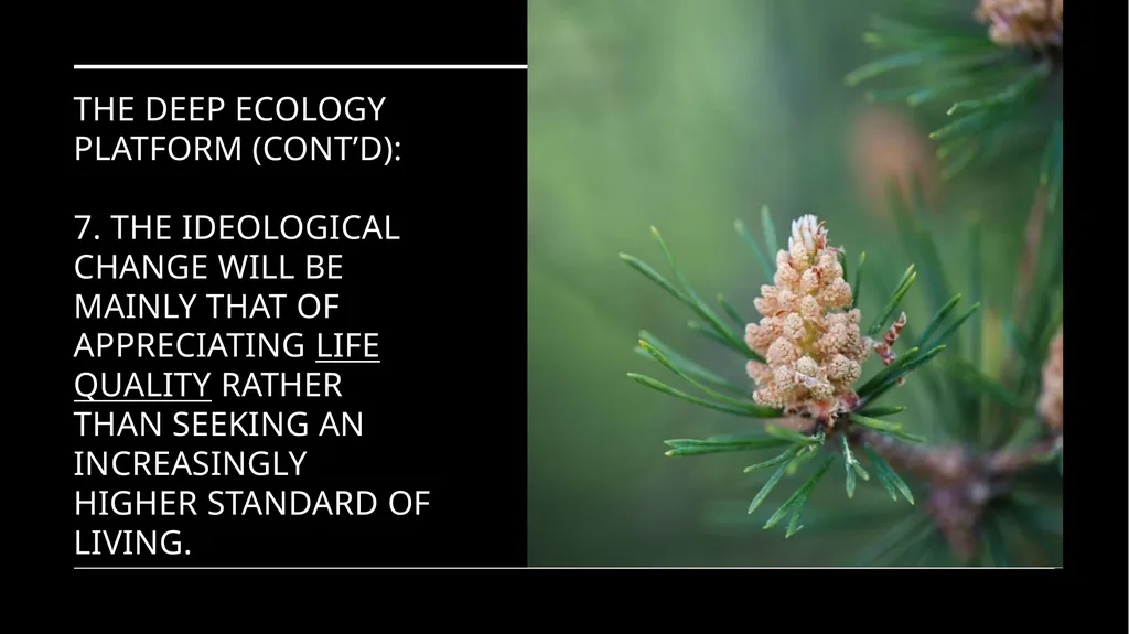 Chapter 6 Deep Ecology and Ecofeminism Two radical - slide 27 of 65