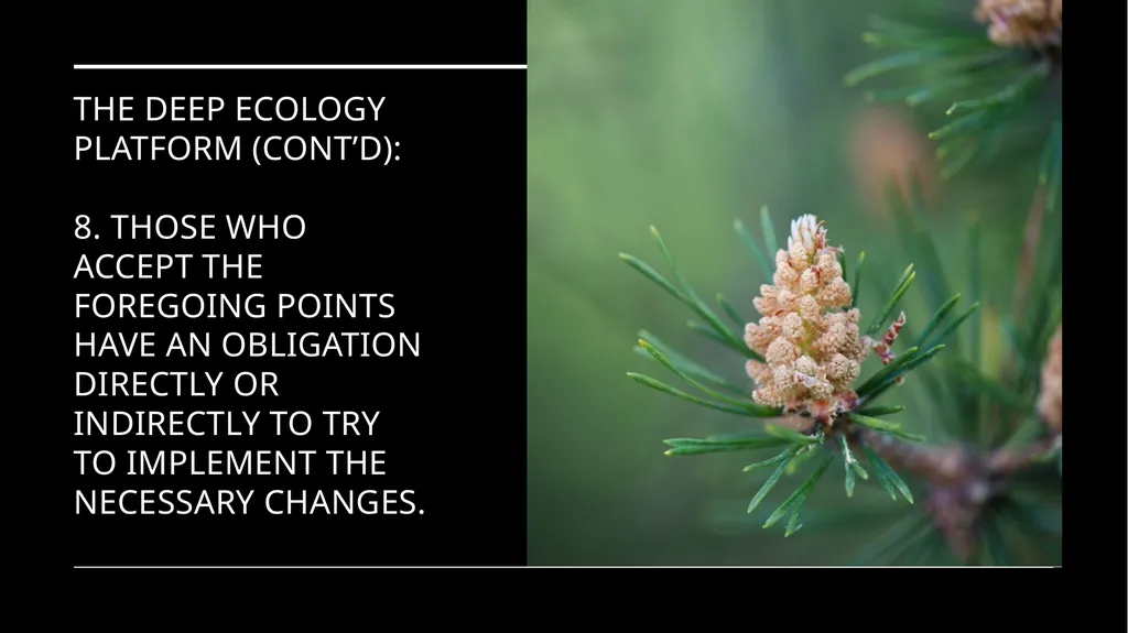 Chapter 6 Deep Ecology and Ecofeminism Two radical - slide 28 of 65